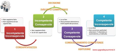 Processo Di Apprendimento Upgrade Your Mind