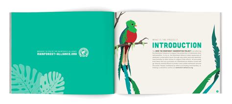 Save The Rainforest Conservation Project on Behance