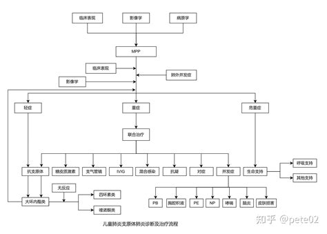 儿童肺炎支原体肺炎诊疗指南2023版 知乎