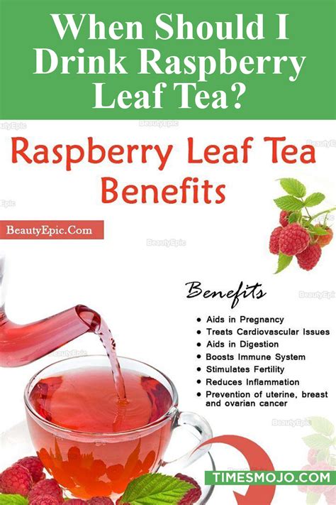 When Should I Drink Raspberry Leaf Tea TimesMojo