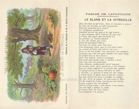 Le Gland Et La Citrouille Fables De La Fontaine Fable Les Fables