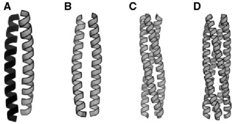 Figure 1 From LOGICOIL Multi State Prediction Of Coiled Coil