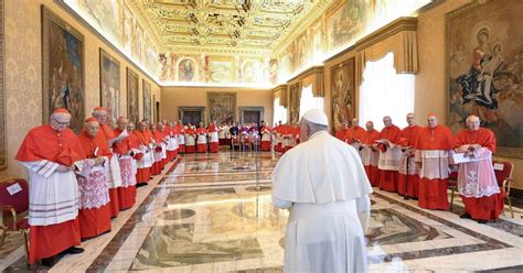 Vatikan Papst ernennt neue Kardinäle und einige sind wohl selbst