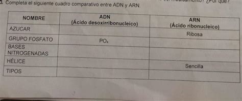 Ayuda Porfa Completa El Cuadro Comparativo Entre El Adn Y Arn