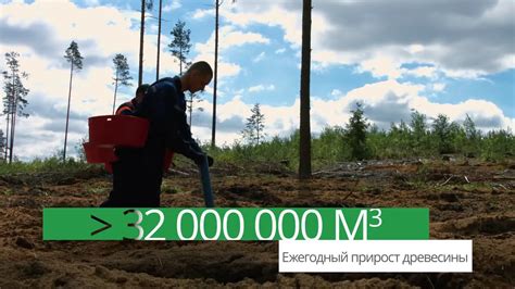 Фильм про лесное хозяйство Беларуси - YouTube