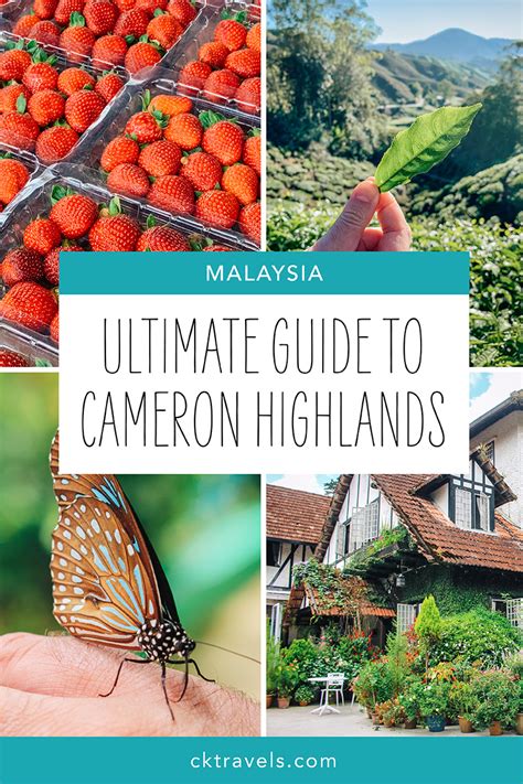 Cameron Highlands attractions: the ultimate travel guide - CK Travels