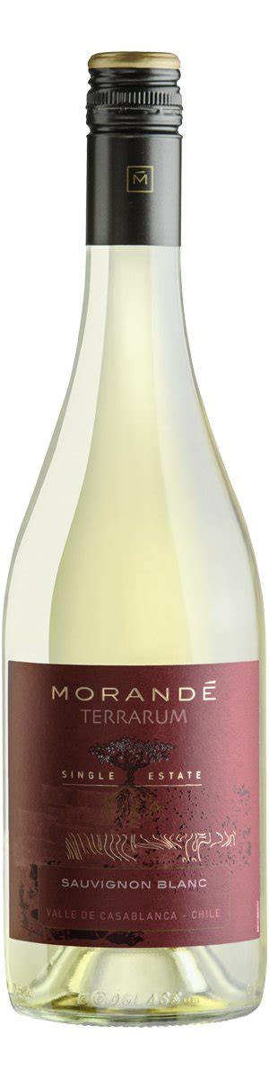 Morand Terrarum Single Estate Sauvignon Blanc Revista Adega