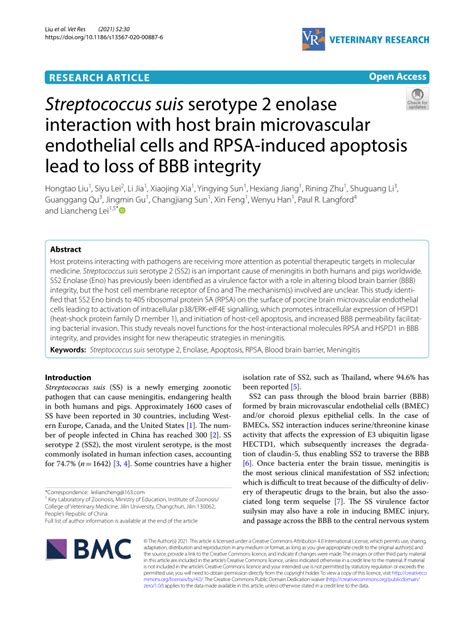 PDF Streptococcus Suis Serotype 2 Enolase Interaction With Host Brain