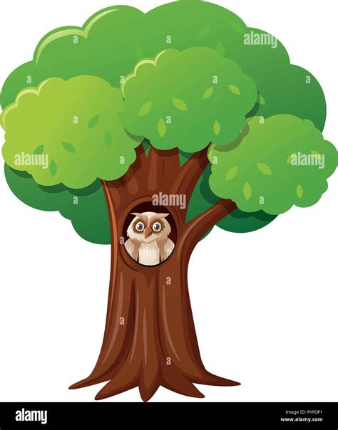 Owl In The Hollow Tree Illustration Stock Vector Image Art Alamy