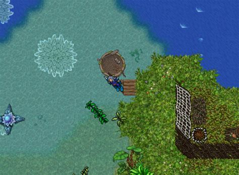 Arquivo Within The Tides Quest Naga Boat 1 4 Png Tibia Wiki