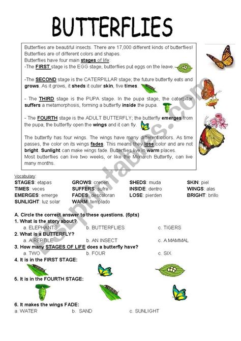 Butterflies Esl Worksheet By Mu Equita