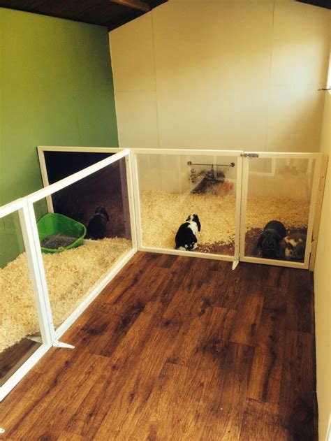 Home Sweet Home Rabbit Shed Hutch Conversion Love My Rabbits Hate