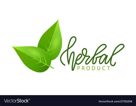 Herbal Product Isolated Green Leaf Logo Lettering Vector Image