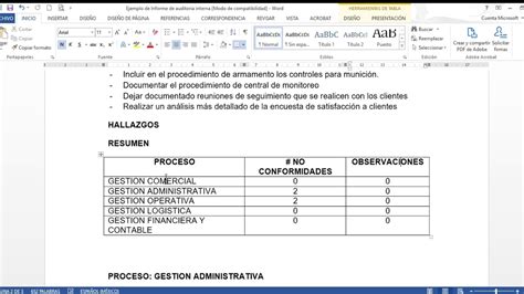 Exemple Dun Rapport Daudit Nia Adele