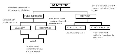 Construct A Concept Map That Includes The Following Terms A Quizlet