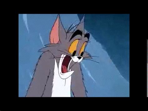 Tom And Jerry Scream - Latest News Update