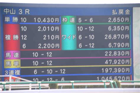 【中山新馬戦】14番人気ミズカゼが初陣v 3連単は100万円超の大波乱 Umatoku 馬トク