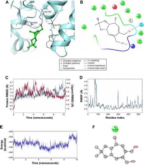 Binding Interaction And Molecular Dynamic Simulations MDs Between The