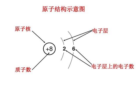 “基本粒子”与“元素周期表”规律中携带着的信息