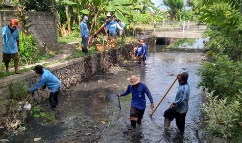 Cegah Banjir Pupr Denpasar Gencarkan Pembersihan Sungai Dan Saluran