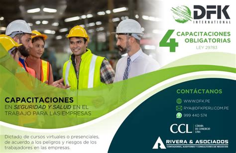 Capacitaciones En Seguridad Y Salud En El Trabajo Dfk Perú