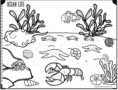 Ocean Animal Habitat Coloring Pages Coloring Pages