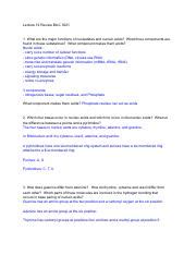 Understanding Nucleotides And Nucleic Acids Key Concepts Course Hero