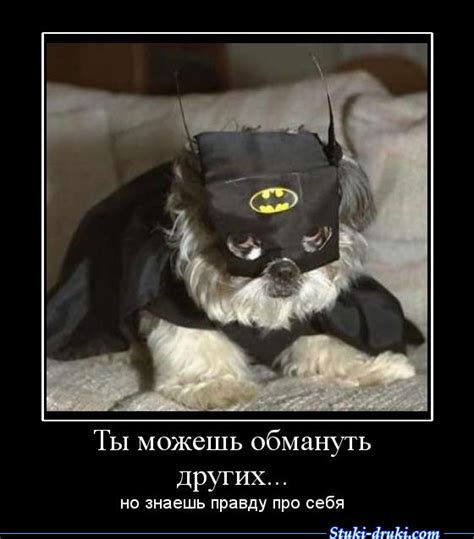 Обман - все про обман