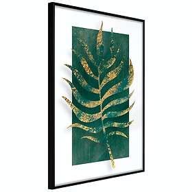 Artgeist Poster Affisch Exclusive Nature Poster 40x60 A3 DRBPRP0813l