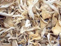 Dry Oyster Mushroom At Rs 600 Kilogram ECO MUSHROOM In Bhubaneswar