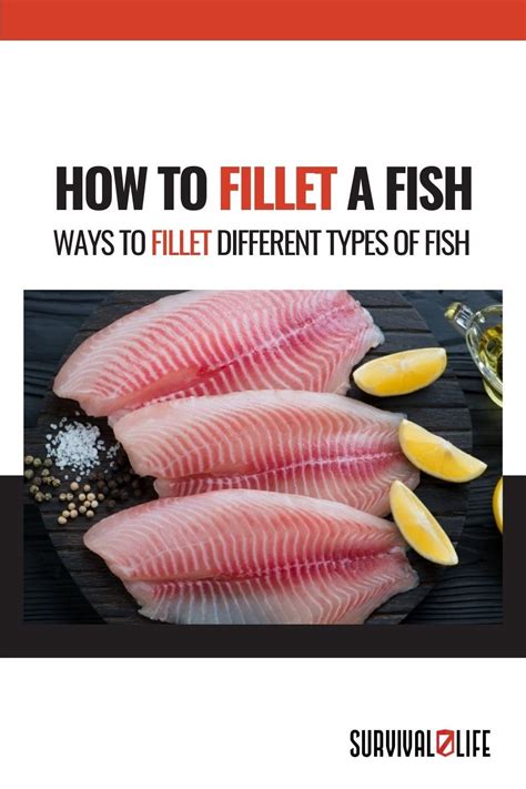 How To Fillet A Fish Ways To Fillet Different Types Of Fist Fillet