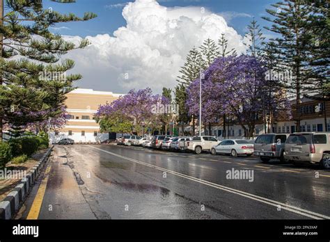 Abha Saudi Arabia April 1st 2021 Art Street Stock Photo Alamy