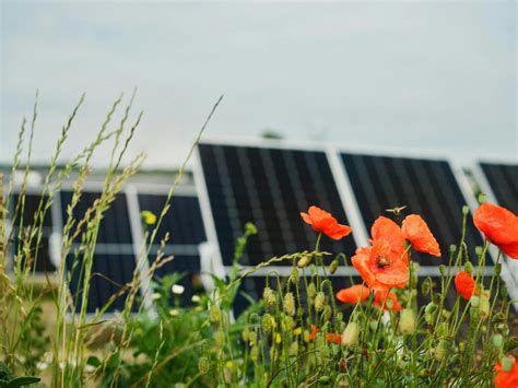 Nordic Solar Turns The First Sod For The Most Extensive Solar Energy Connection In Sweden