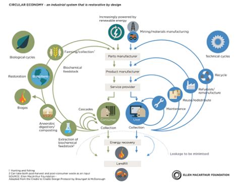 Circular Bioeconomy An Uneasy Marriage Of Concepts So Far Bio Based