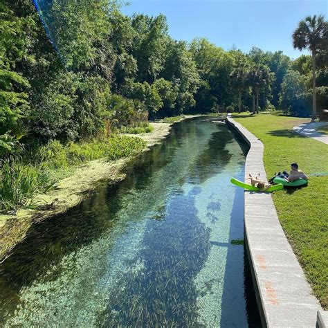 5 Natural Springs Near Orlando - Complete Guide