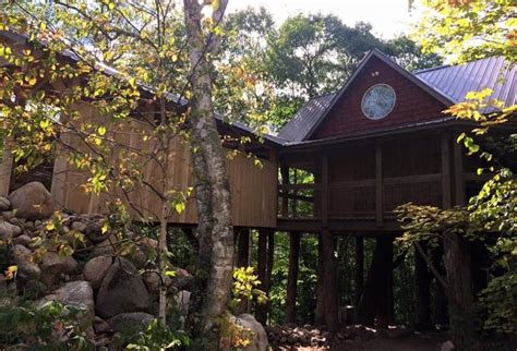 A Stay At Stoney Ridge Treehouse In Minnesota Is Unforgettable