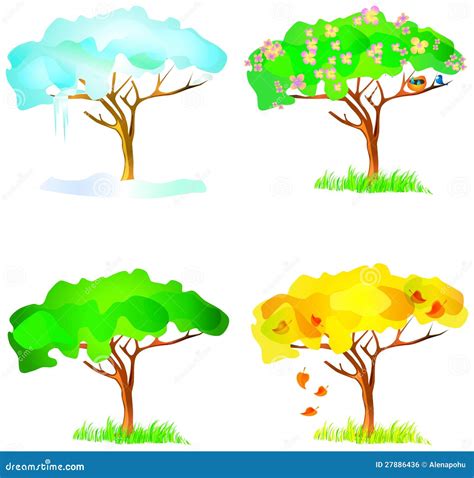 Vector Four Season Trees Stock Vector Illustration Of Backdrop