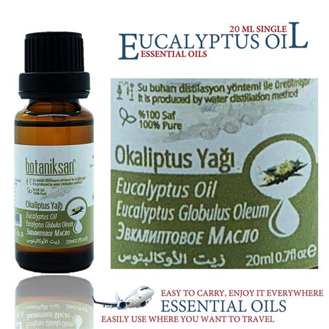 U29 Eucalyptus Oil Steam Distilled 100 Pure And Natural 10ml 20ml 50ml Home Essential Oils