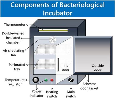 What Is Bacteriological Incubator Meaning Principle Uses Procedure