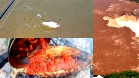 PESCA Y COCINA IMPRESIONANTE LA CRECIDA DEL RÍO IGUAZÚ DESBORDA LAS