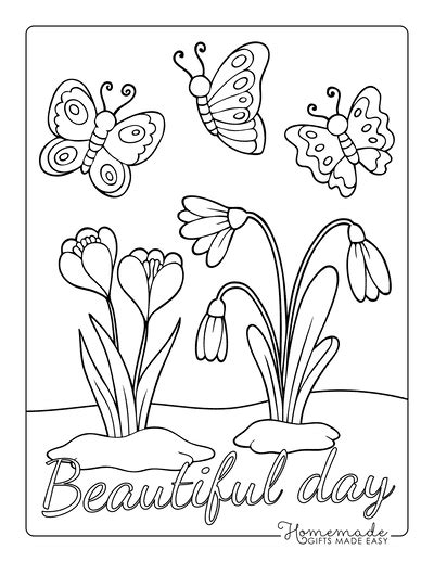 Butterflies And Flower Coloring Pages