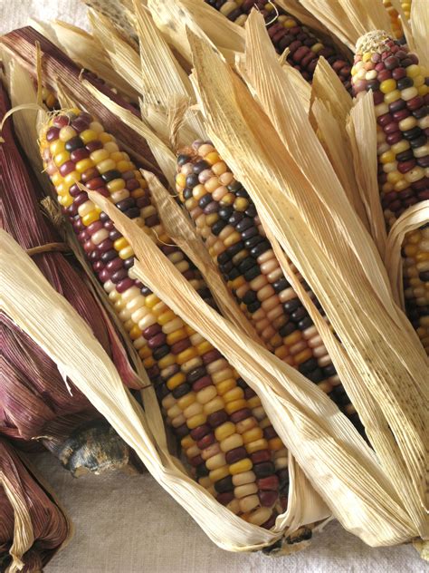 Indian Corn Centerpiece