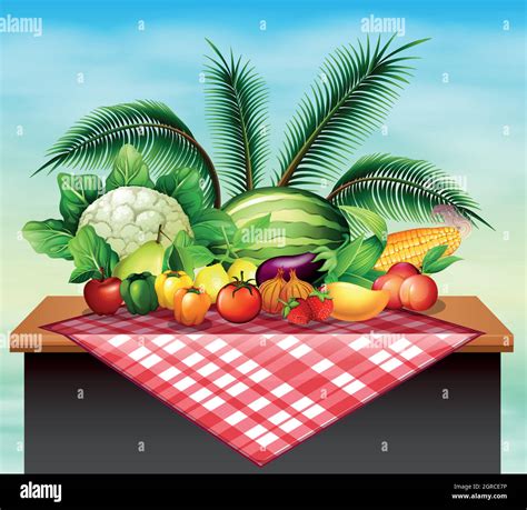 Diferentes Tipos De Verduras Y Frutas Imagen Vector De Stock Alamy