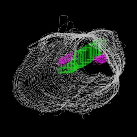 Quantitation Of Lower Urinary Tract Afferents In 3d Reconstruction Of