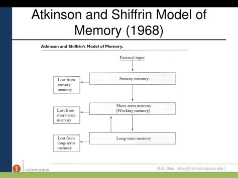 Shiffrin Model Of Memory Image Result For Atkinson And Shiffrin Model
