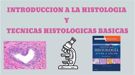 HISTOLOGÍA Leslie P Gartner Cap 1 YouTube