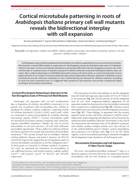 Pdf Cortical Microtubule Patterning In Roots Of Arabidopsis Thaliana