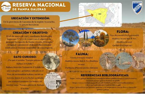 Reserva Nacional Pampas Galeras Brad Udocz