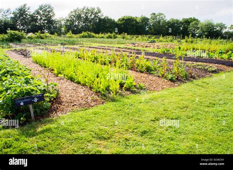 Sissinghurst Castle Vegetable Garden Stock Photo Alamy