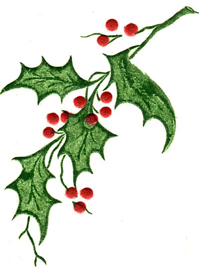 Free Holly Leaves Clipart, Download Free Holly Leaves Clipart png ...